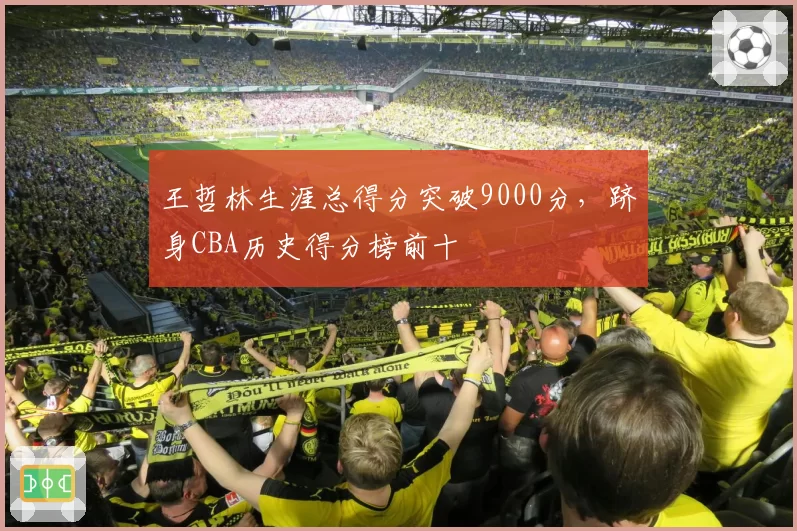 王哲林生涯总得分突破9000分，跻身CBA历史得分榜前十